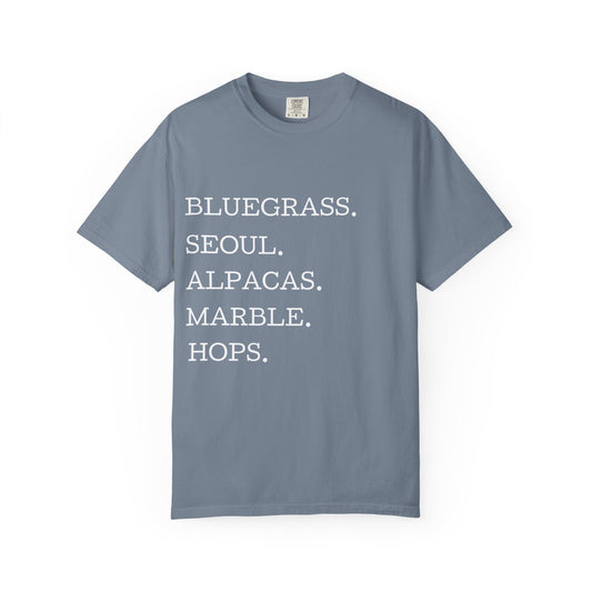 Gwinnett County T‑Shirt
