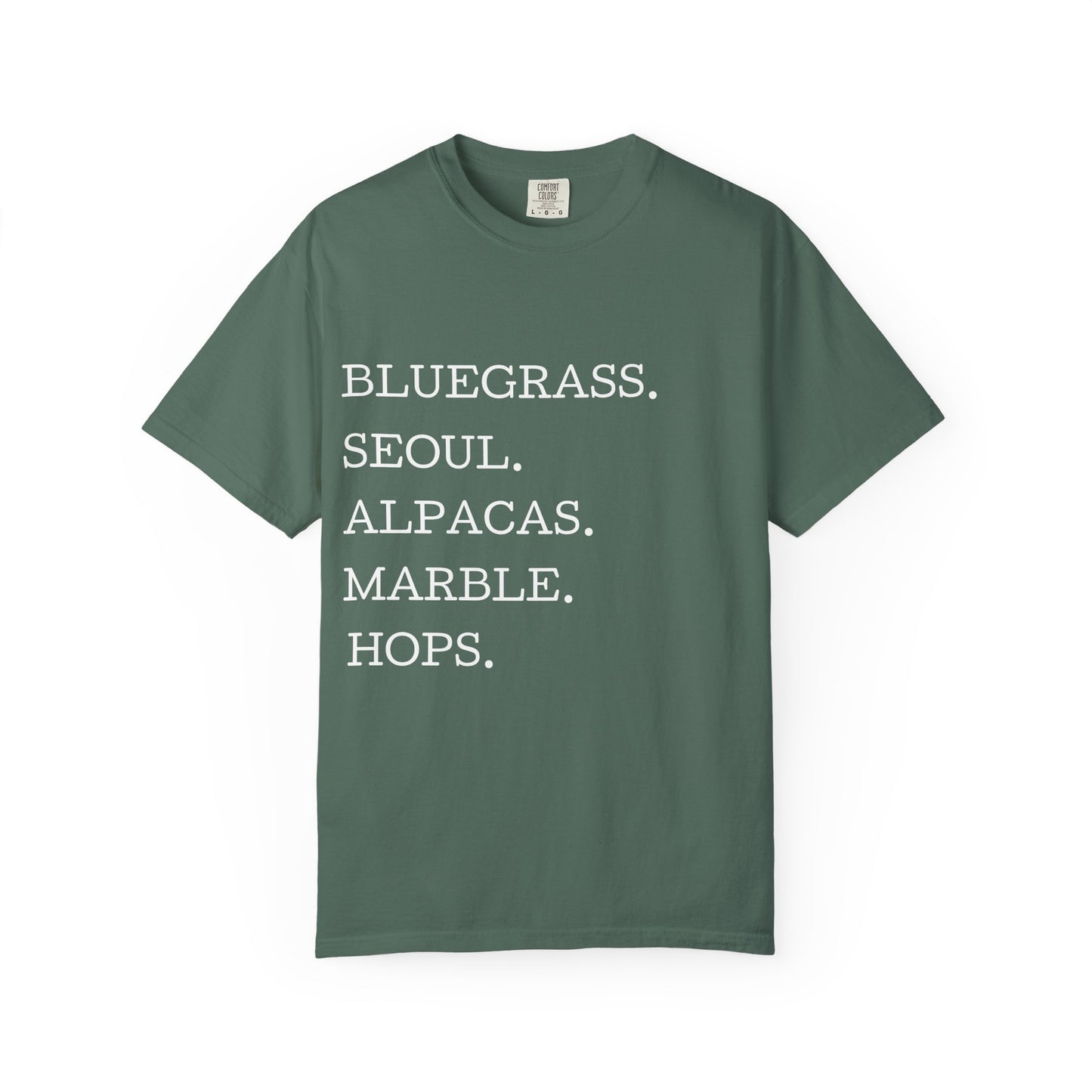 Gwinnett County T‑Shirt