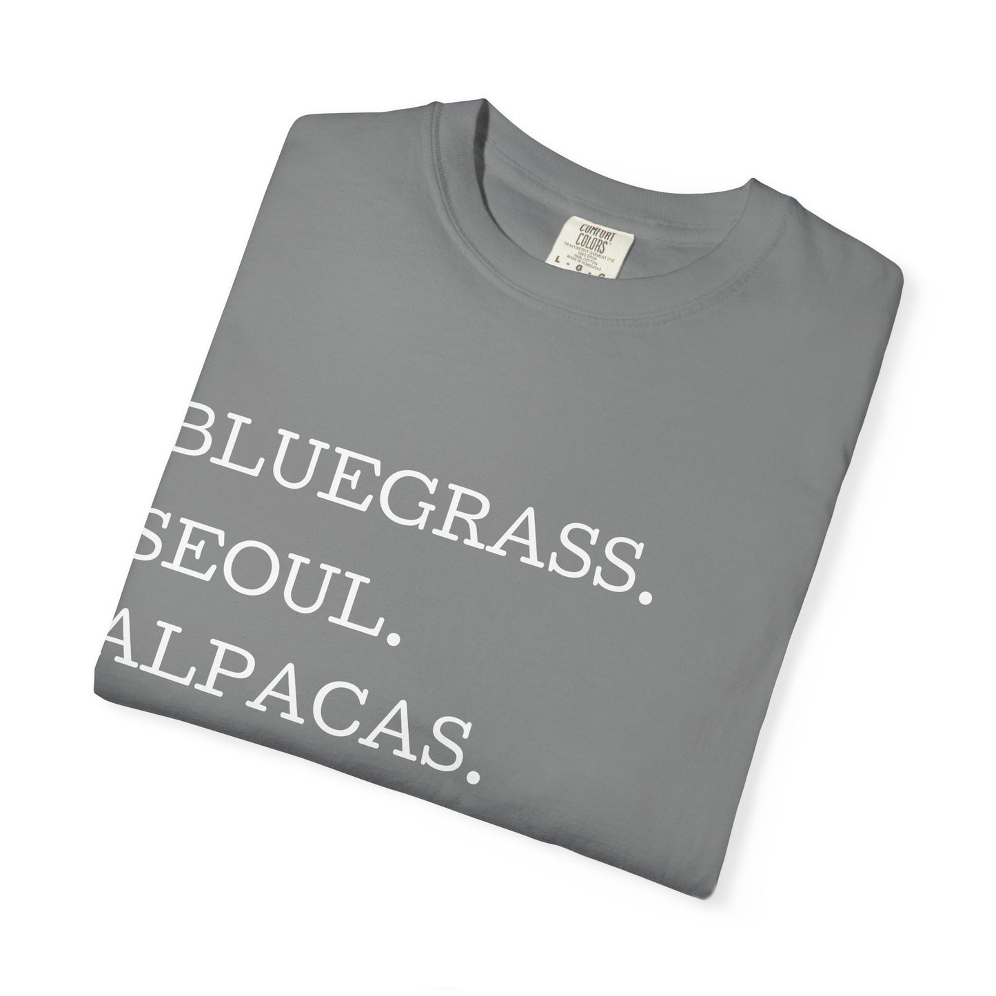 Gwinnett County T‑Shirt