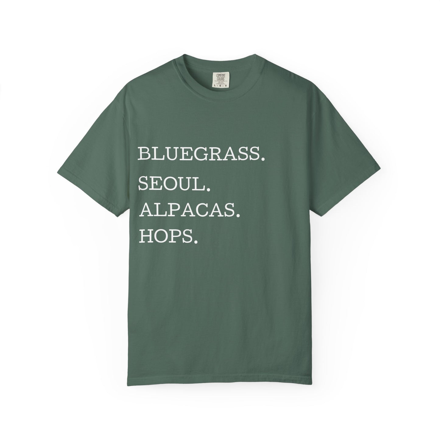 Gwinnett County T‑Shirt