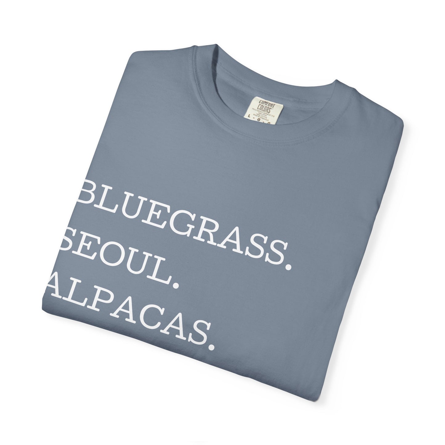 Gwinnett County T‑Shirt