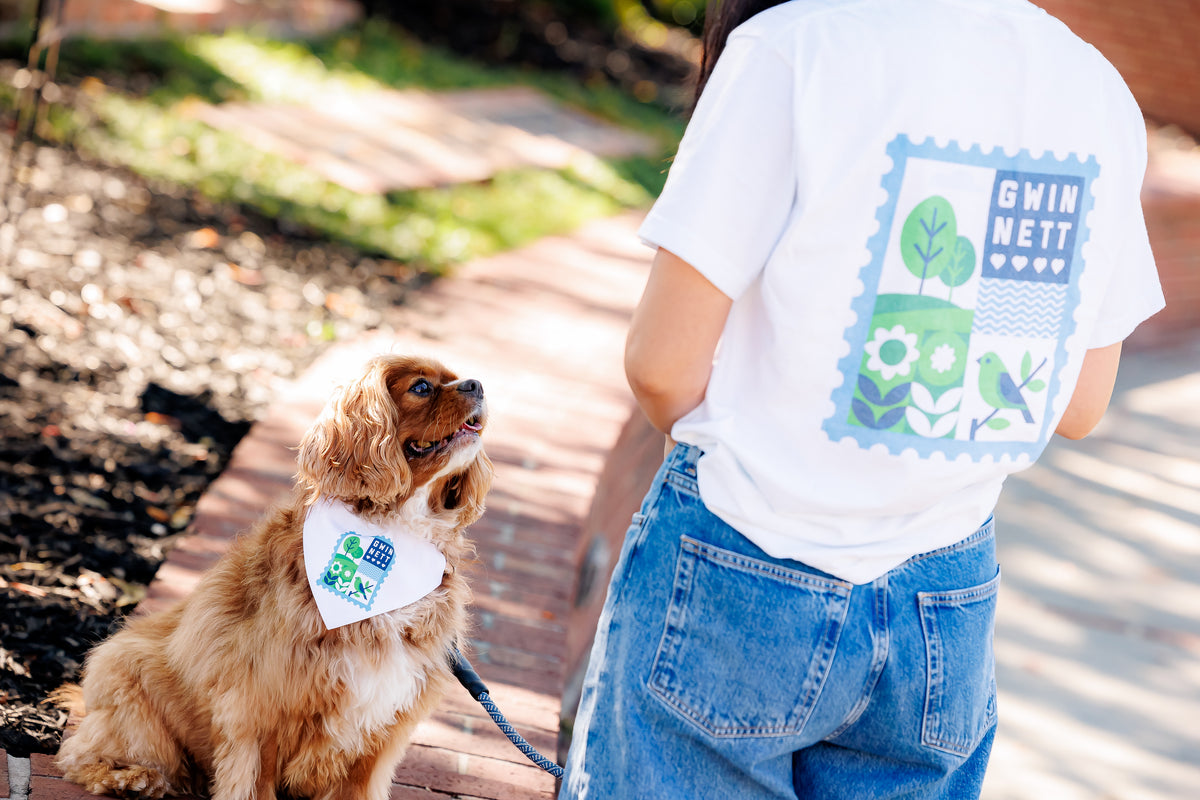 Clip-on Pet Bandana