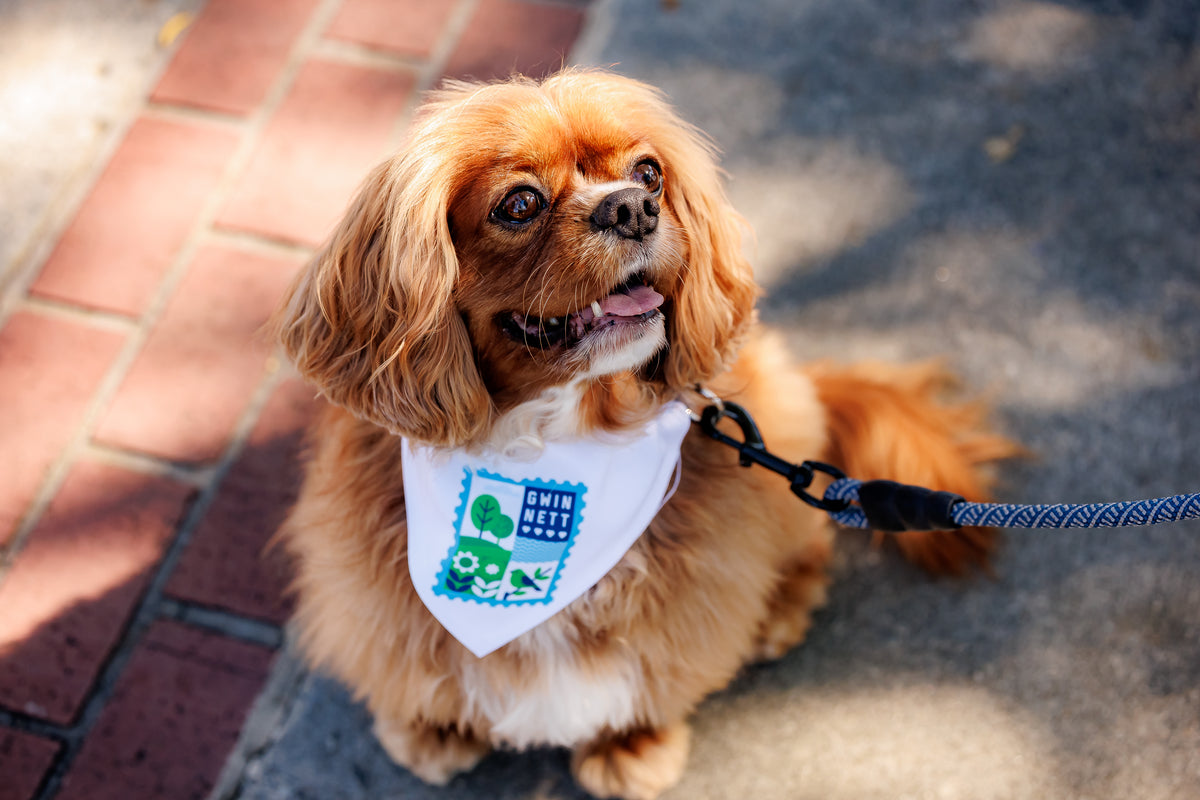 Clip-on Pet Bandana